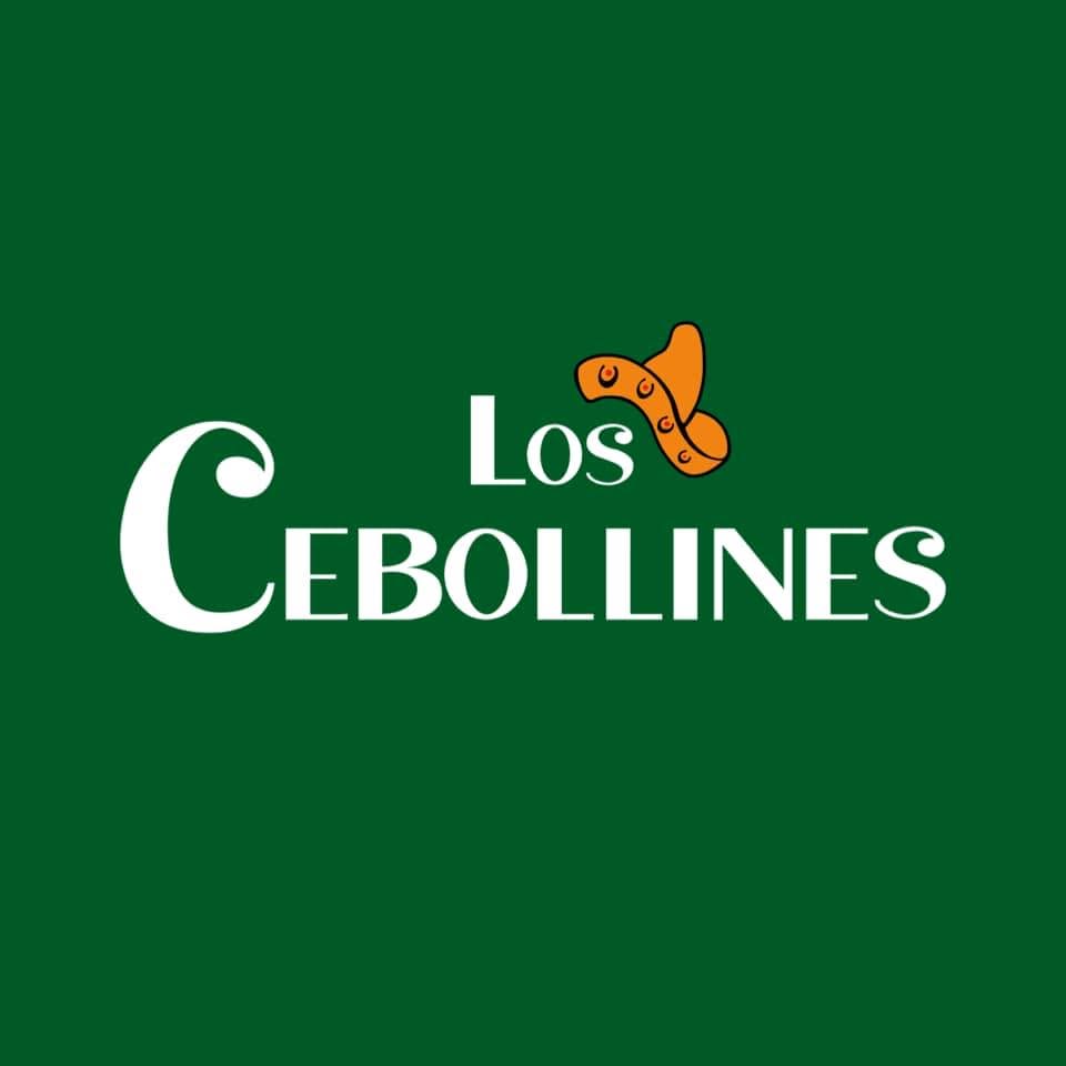 Boquitas, S.A. (Nachos Los Cebollines)