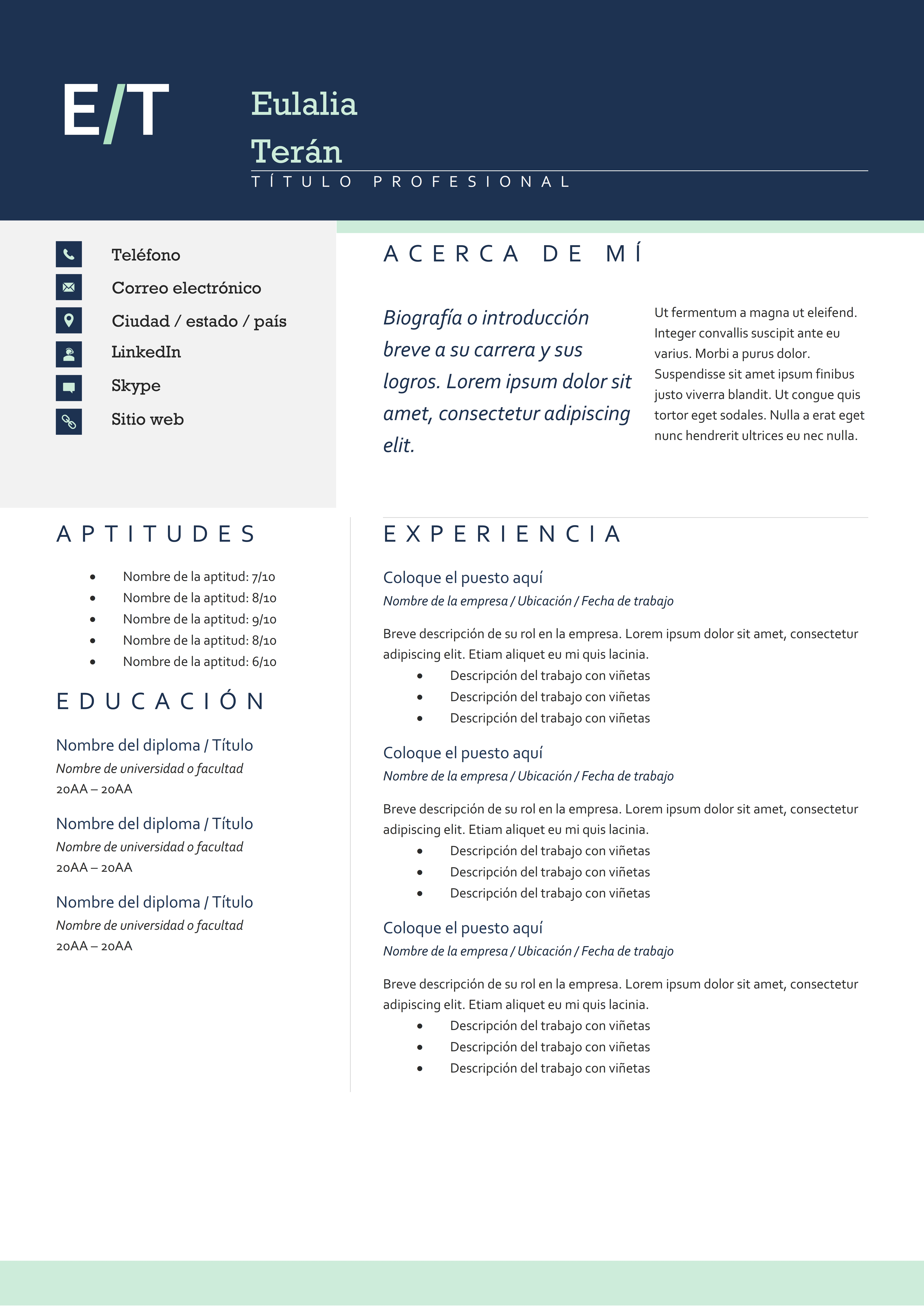 CV Clásico Profesional